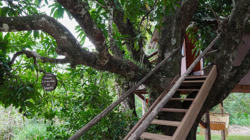 Suíte Casinha na Árvore