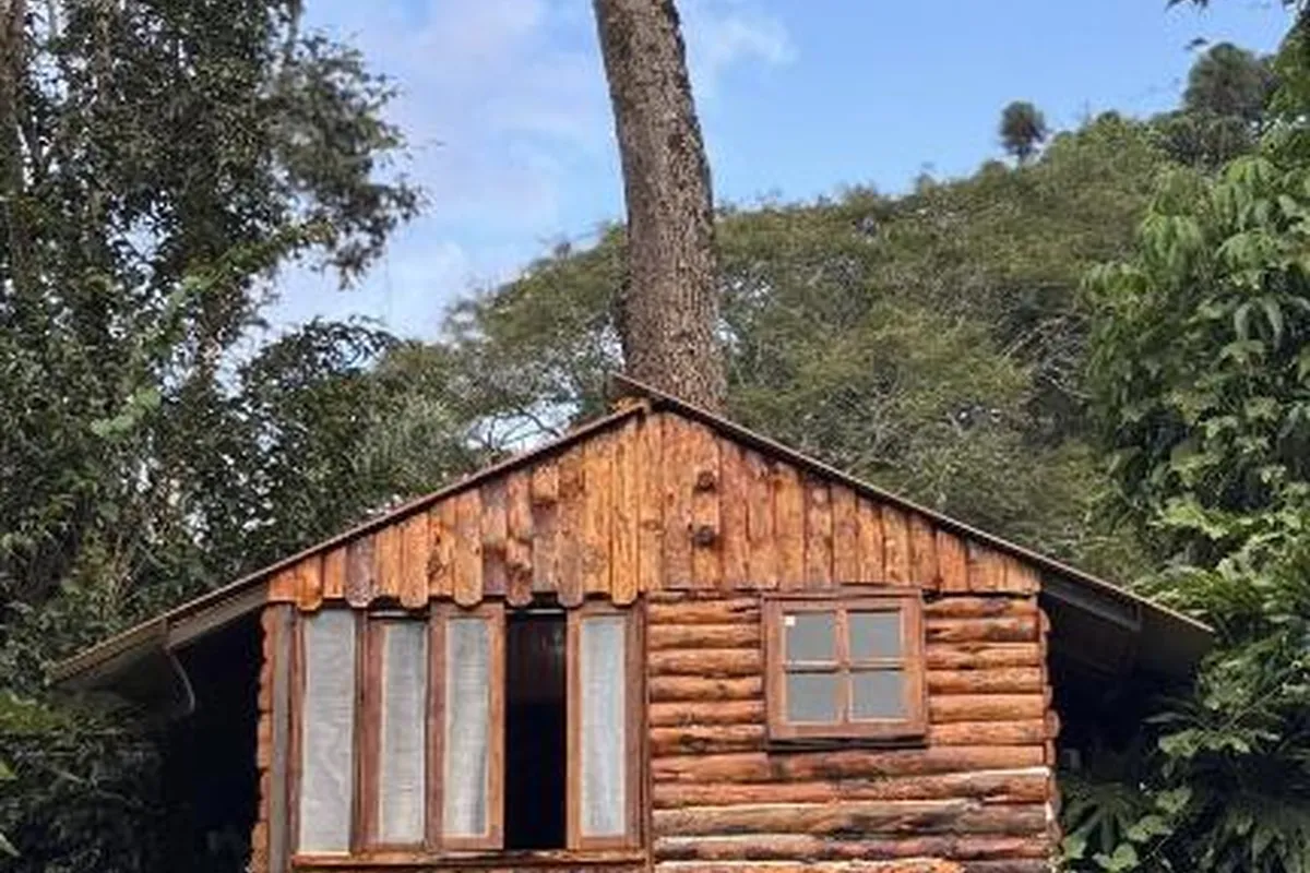 Cabana da Árvore Casal
