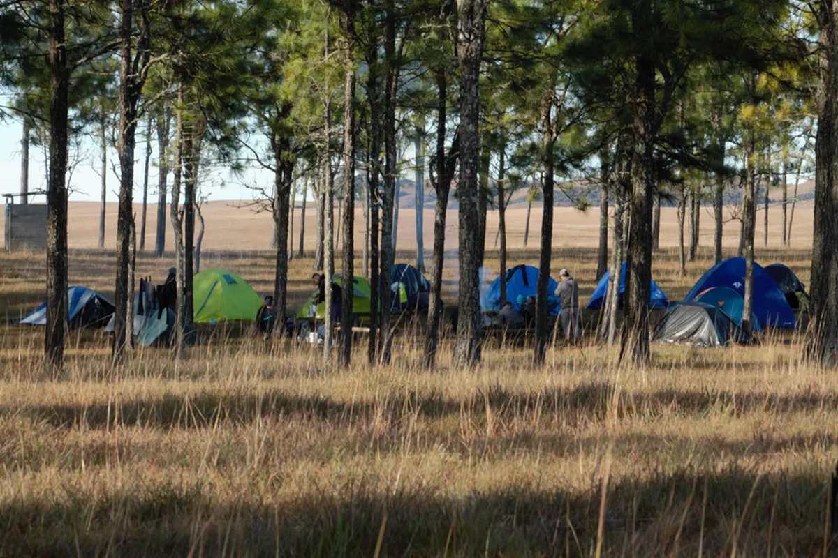 Toca Camping I