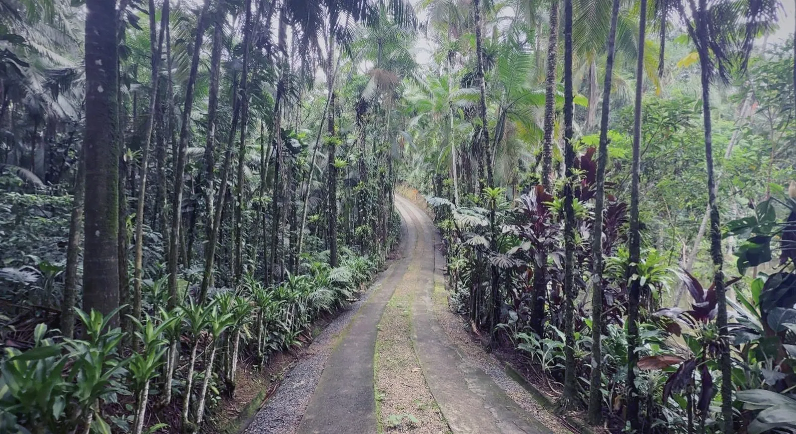 Pousada Jussara