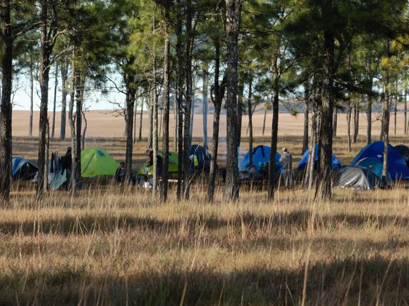 Toca Camping I