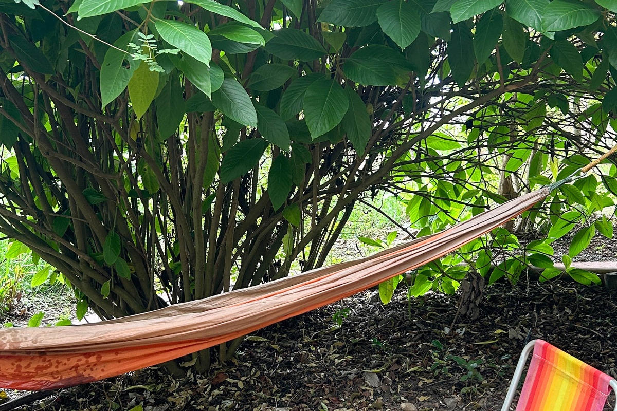 Suíte Família Jambo