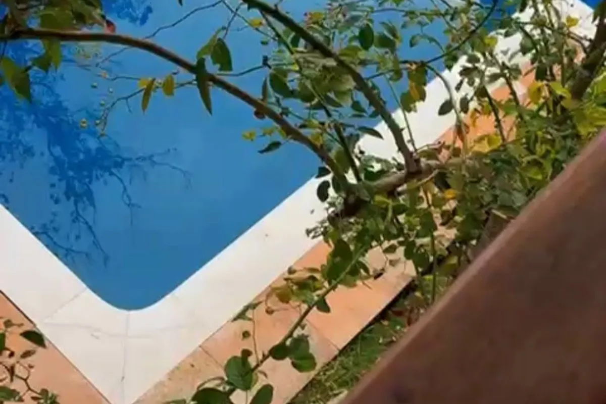 Suíte com Vista para a piscina
