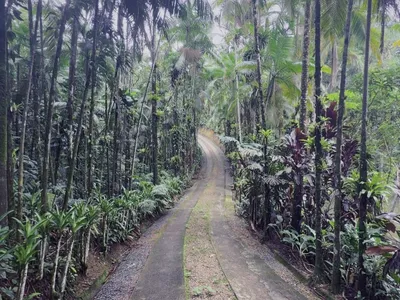 Pousada Jussara