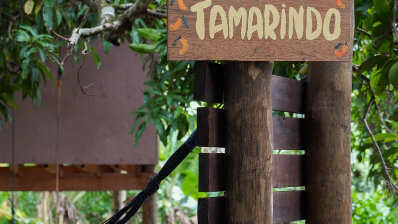 Suíte Premium Tamarindo