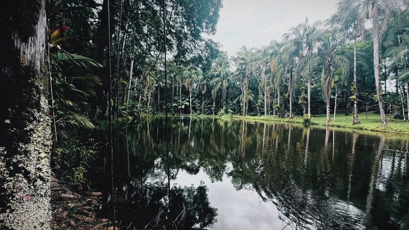 4 - Casa Família/Grupo