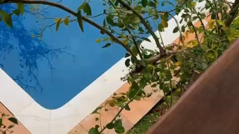 Suíte com Vista para a piscina