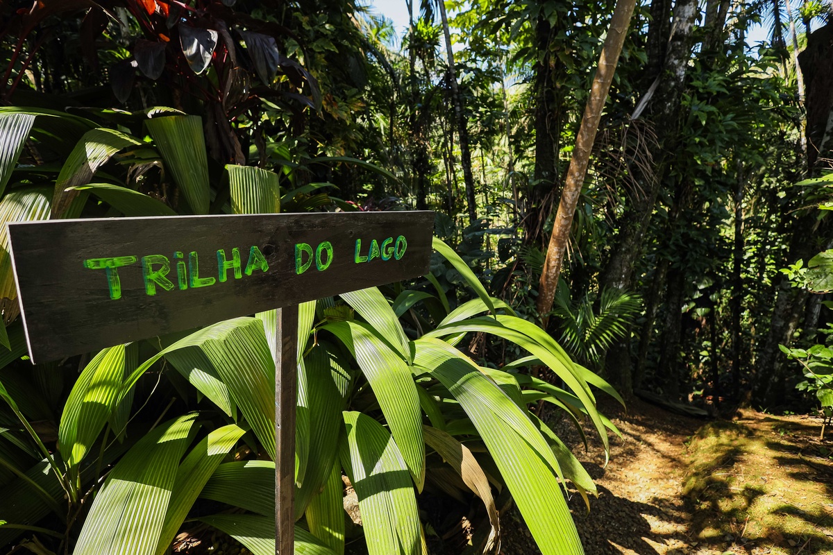 4 - Casa Família/Grupo