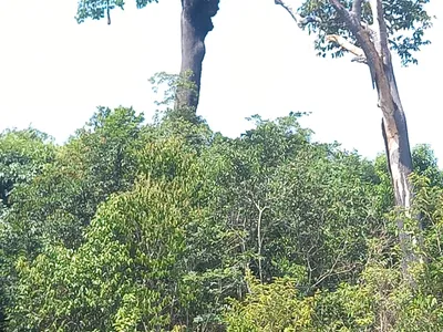 Canário Eco Lodge