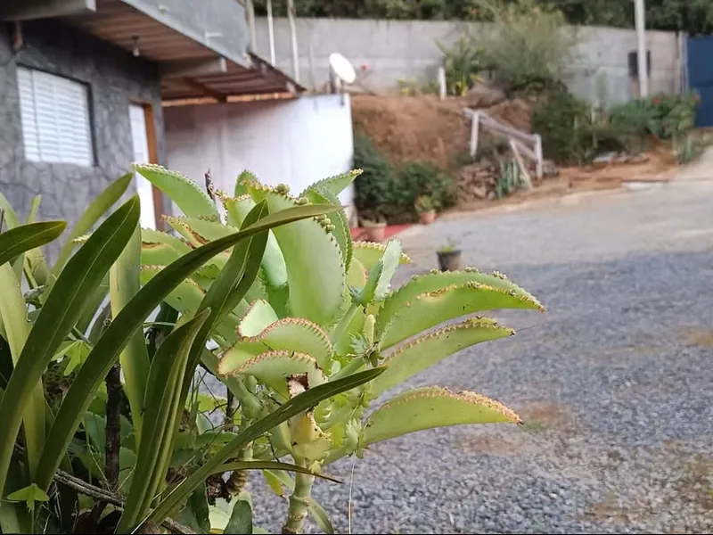 2 Casa Refugio