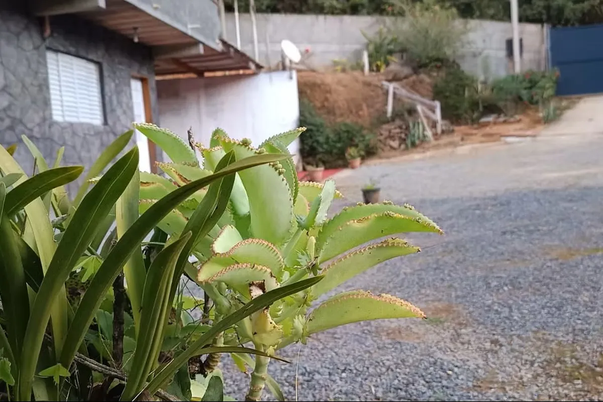 2 Casa Refugio
