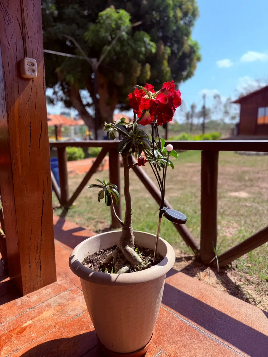 Xingu Park Hotel