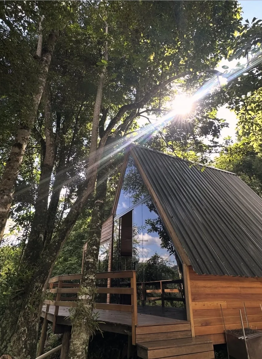 Tree Cabanas