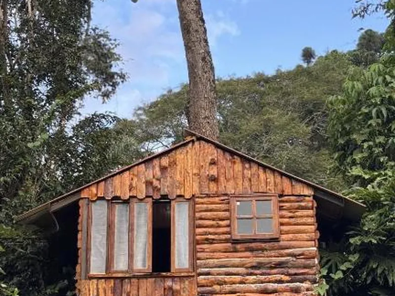 Cabana da Árvore Casal