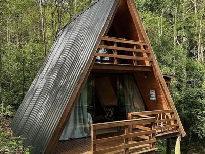 Tree Cabanas