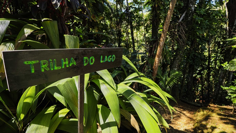 4 - Casa Família/Grupo