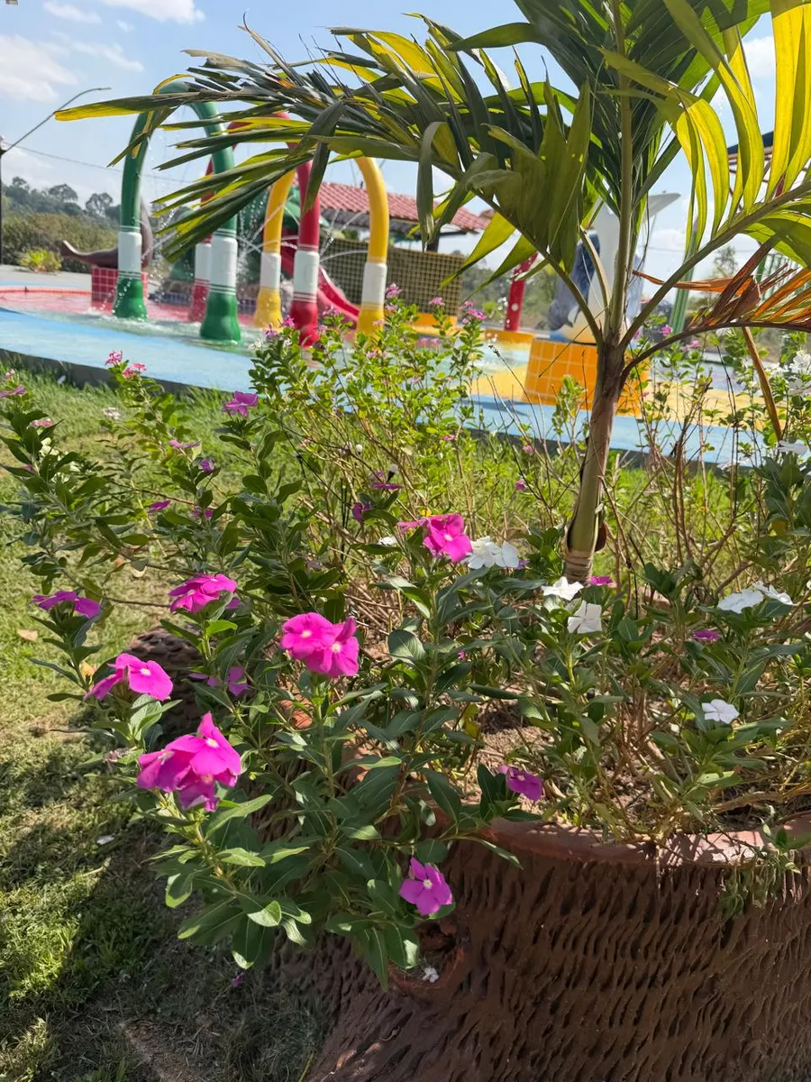 Xingu Park Hotel