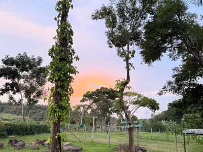 Hotel Fazenda Barra Alegre