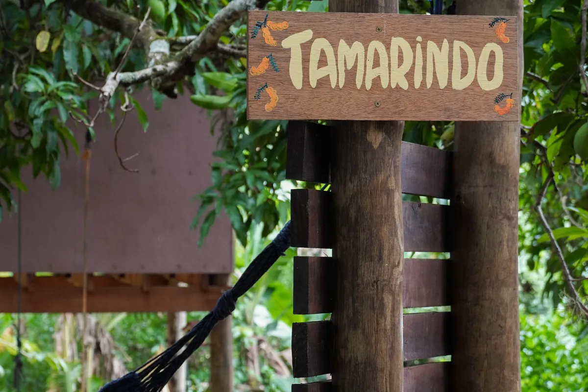 Suíte Premium Tamarindo
