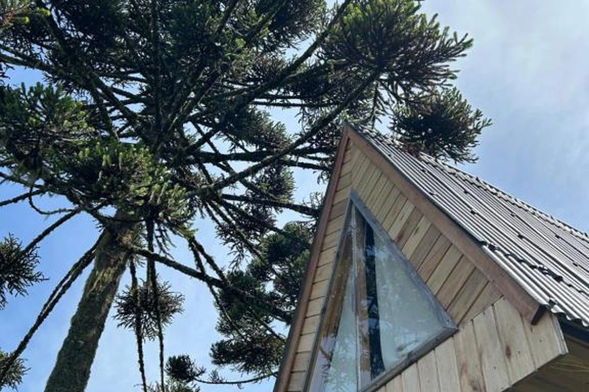 GLAMPING 2