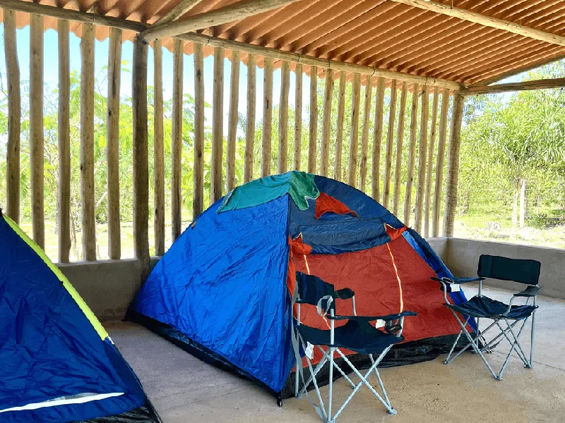 Camping