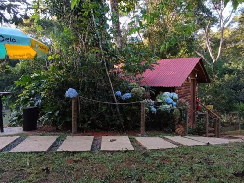 Cabana da Árvore Casal