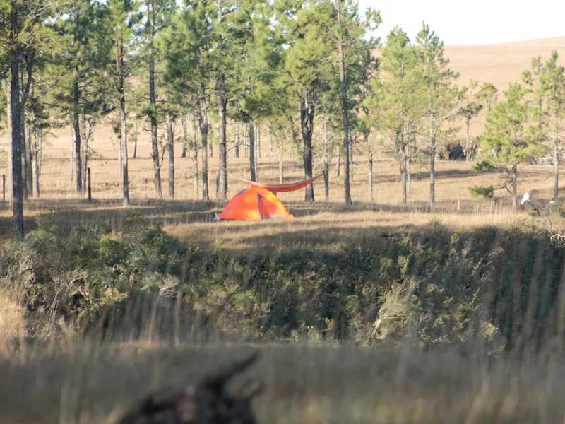Toca Camping I