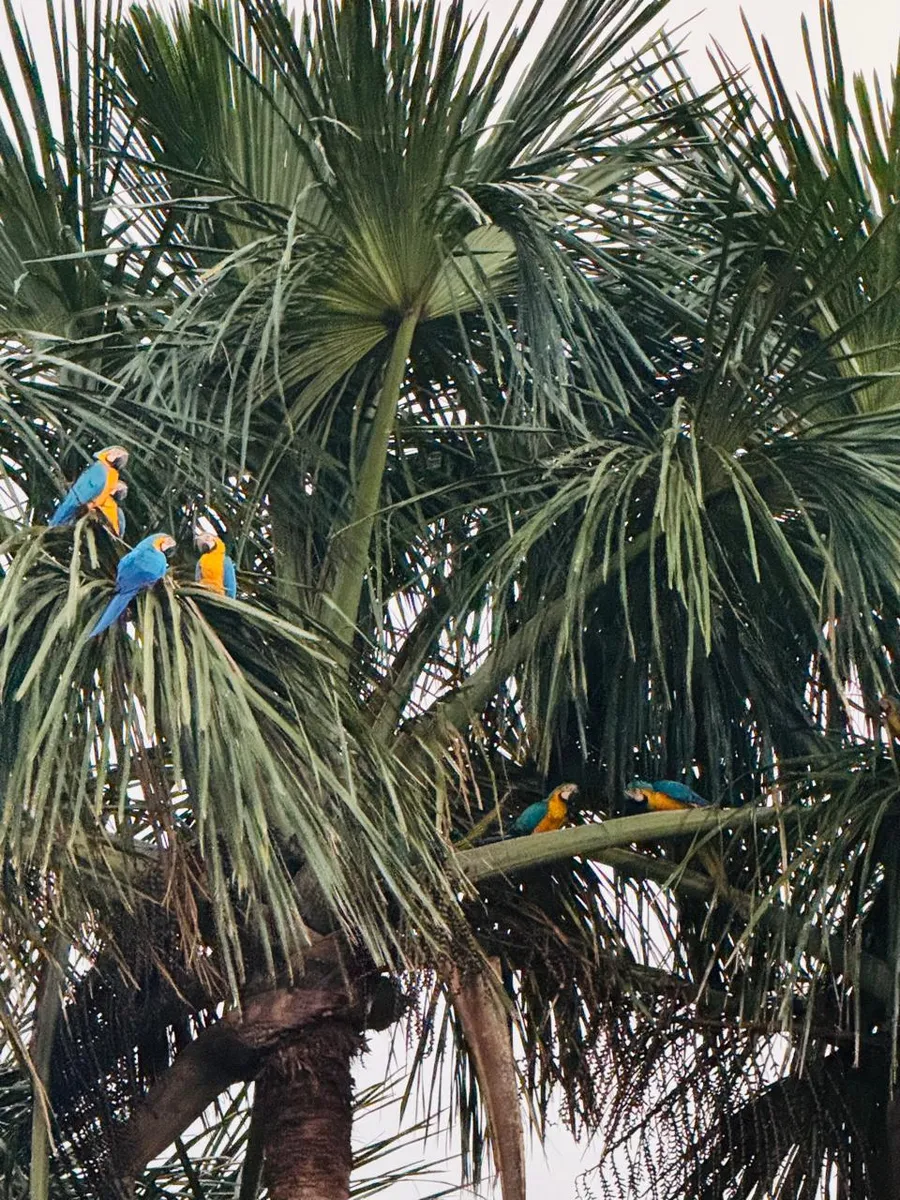 Pousada Paraiso Valle Verde
