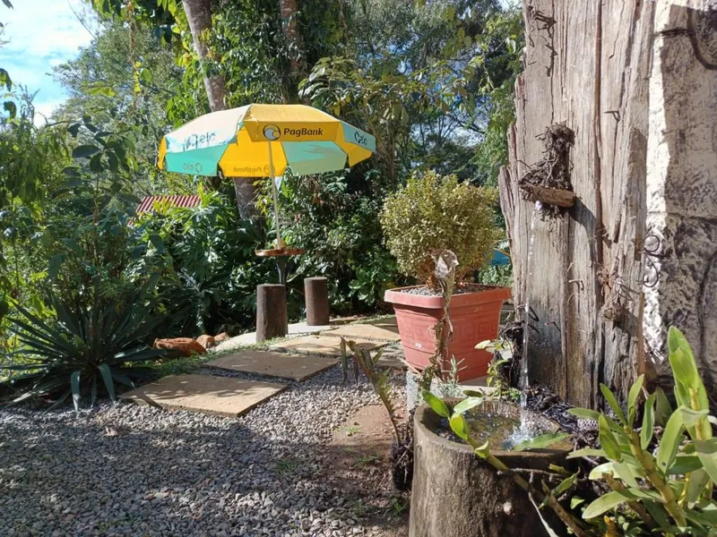 Cabana da Árvore Casal