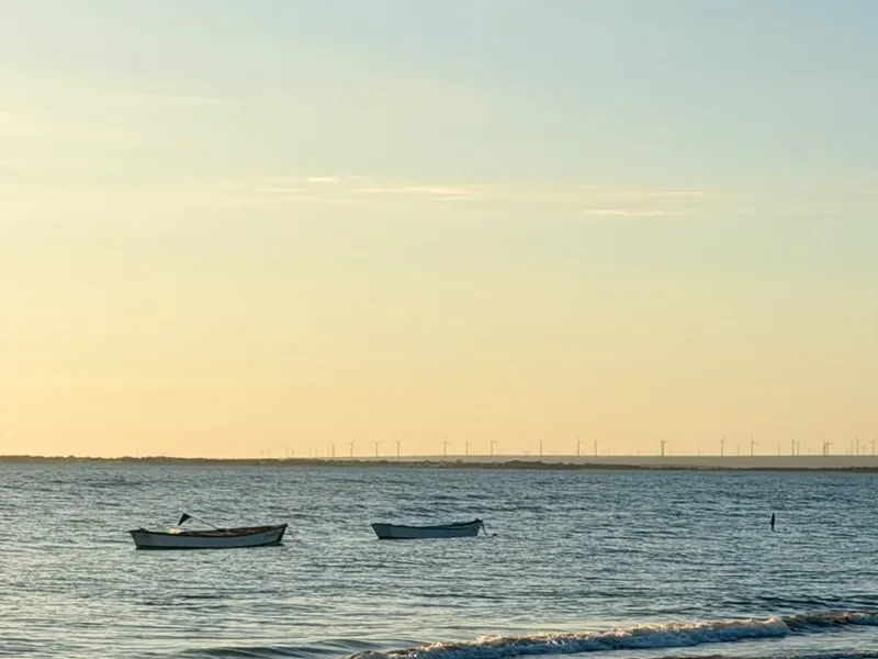 Categoria 1
