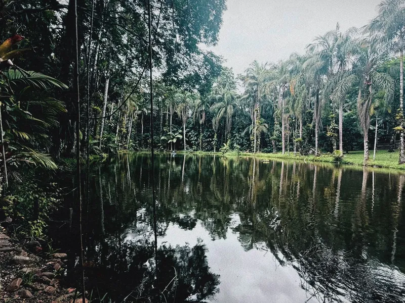 3 - Suíte