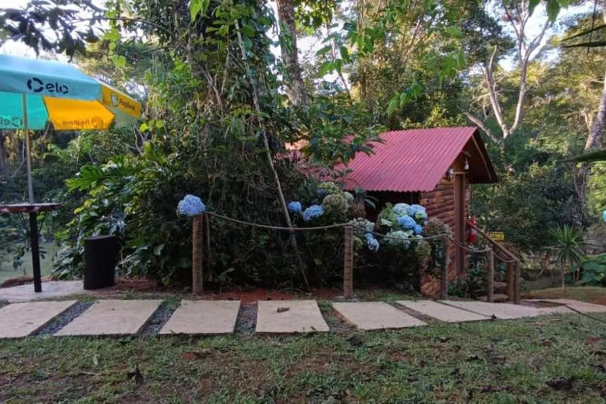Cabana da Árvore Casal