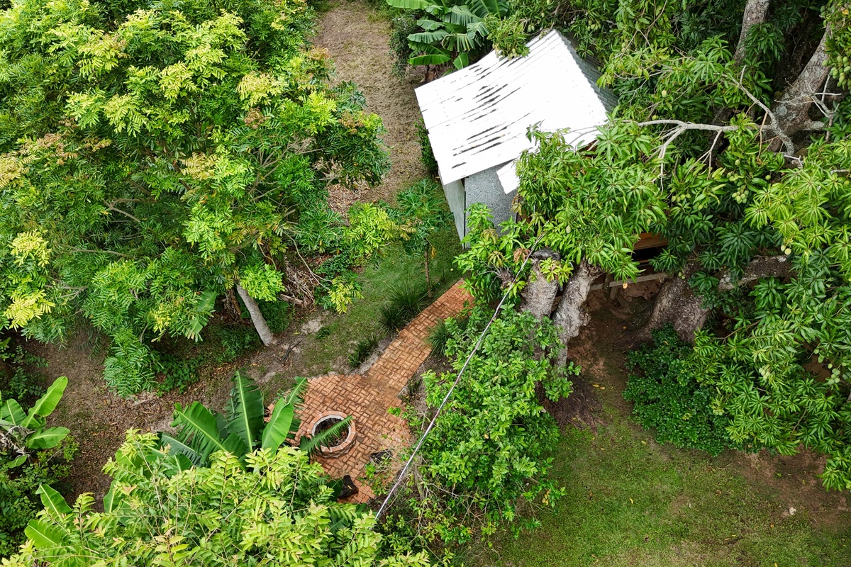 Suíte Casinha na Árvore