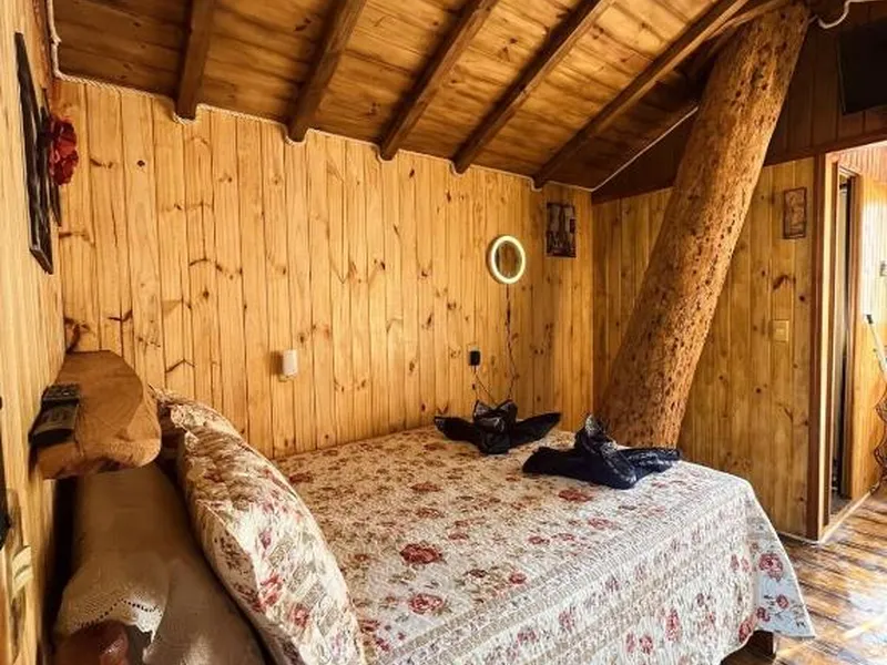 Cabana da Árvore Casal