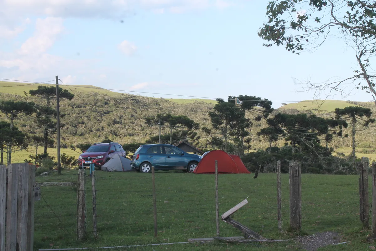 Toca Camping II