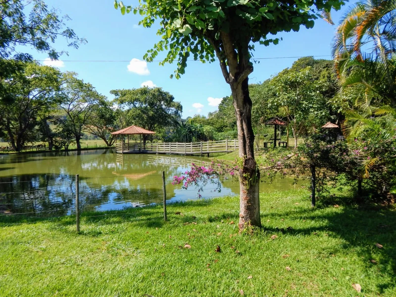 Hotel Fazenda Barra Alegre