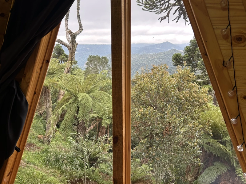 GLAMPING 3