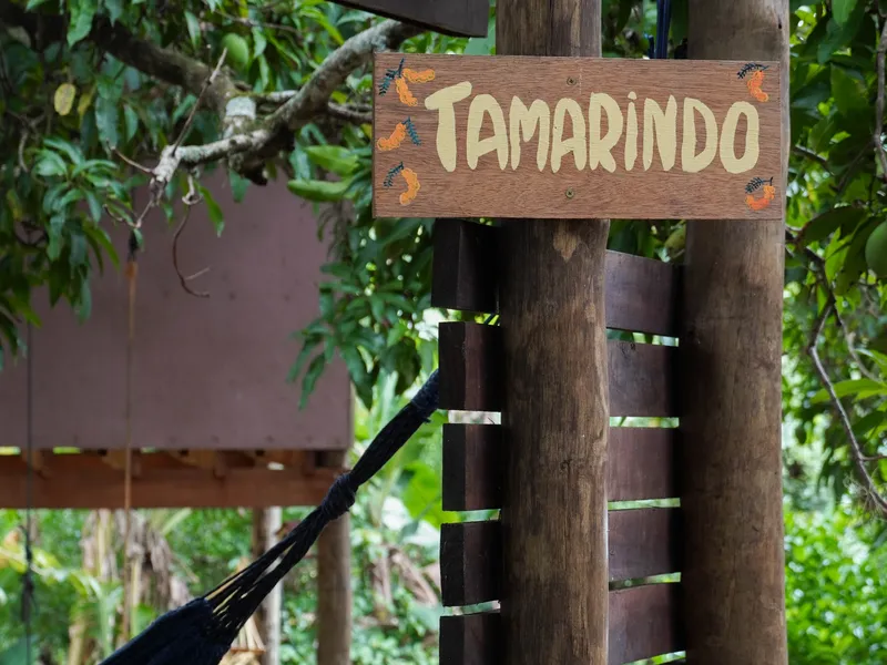 Suíte Premium Tamarindo