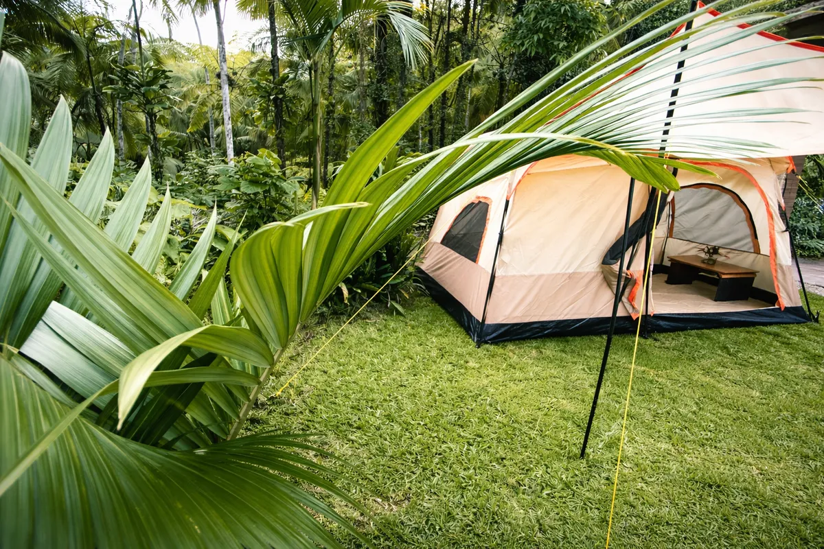 6 - Camping