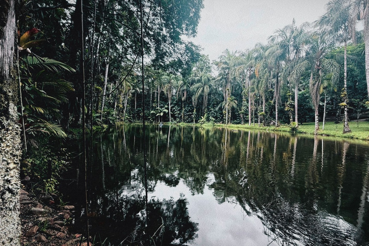 4 - Casa Família/Grupo