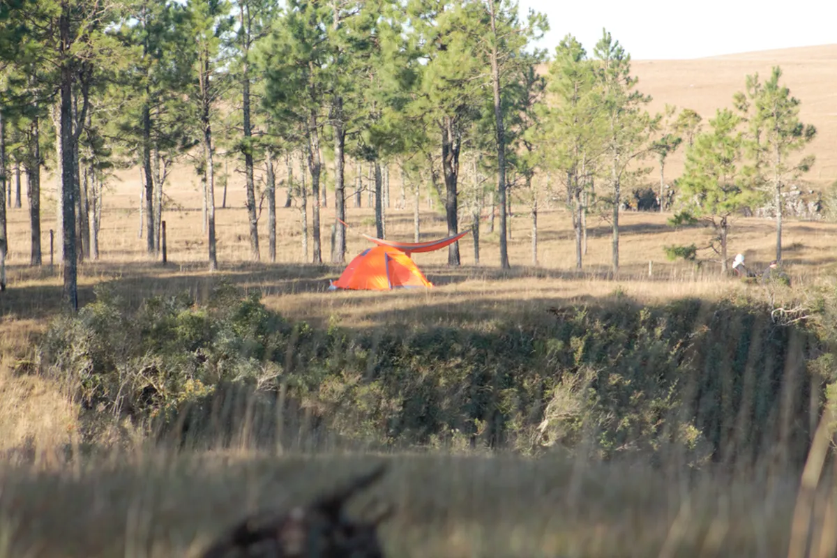 Toca Camping I