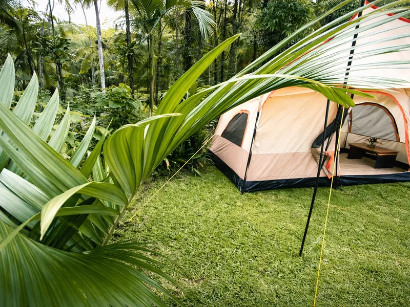6 - Camping