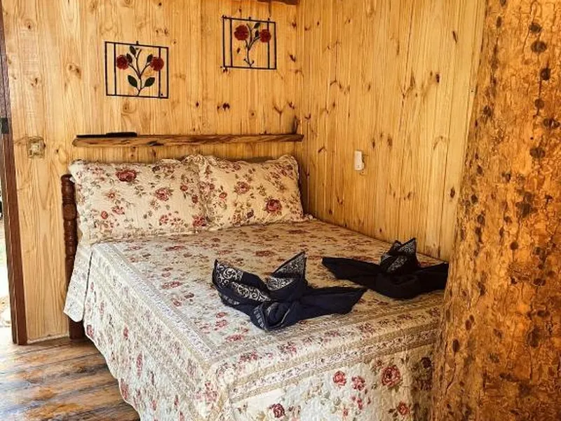 Cabana da Árvore Casal