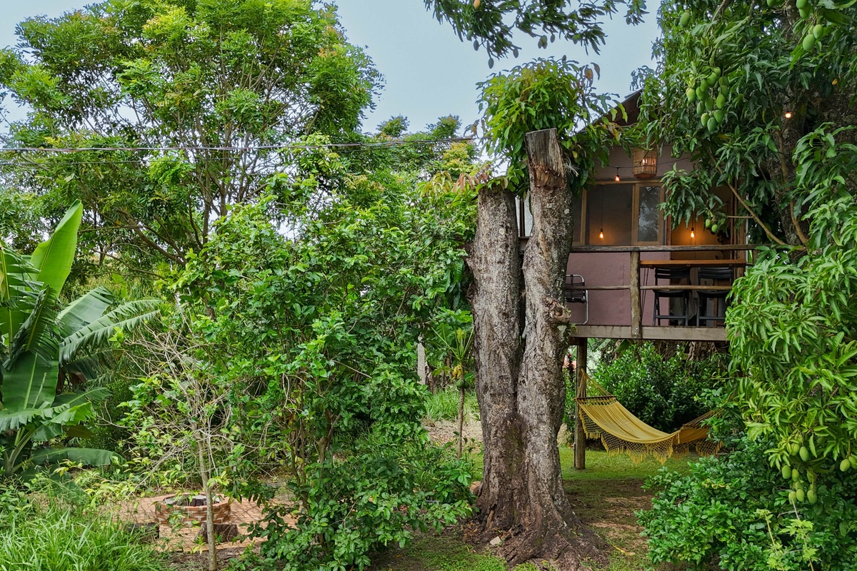 Suíte Casinha na Árvore