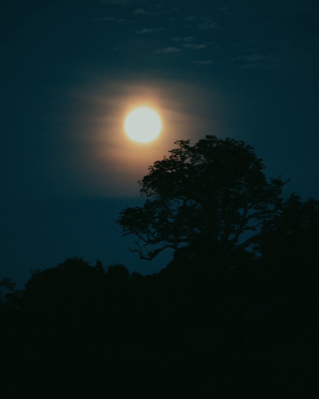 Canário Eco Lodge
