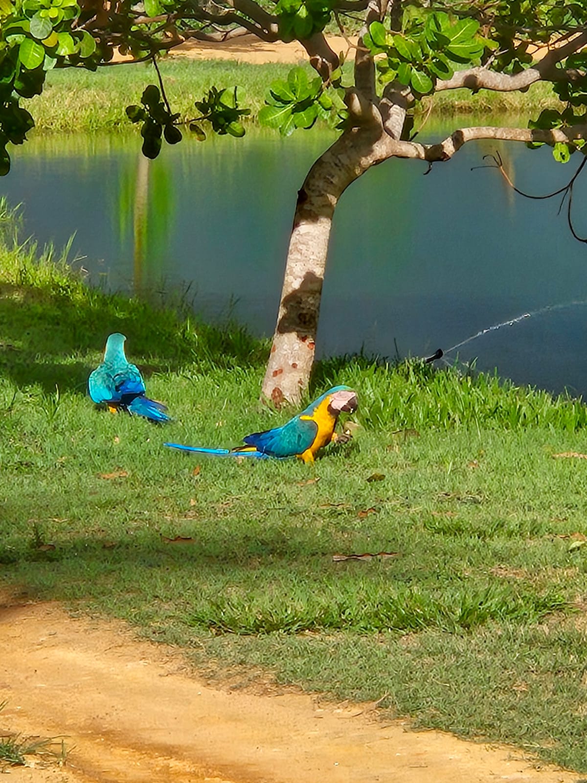 Pousada Paraiso Valle Verde